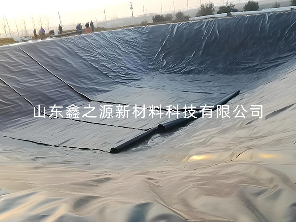 選擇防滲土工膜進(jìn)行小龍蝦養(yǎng)殖有哪些要點技巧？